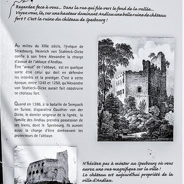 Ruines du château de Spesbourg