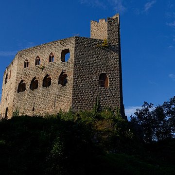 Ruines du château de Spesbourg
