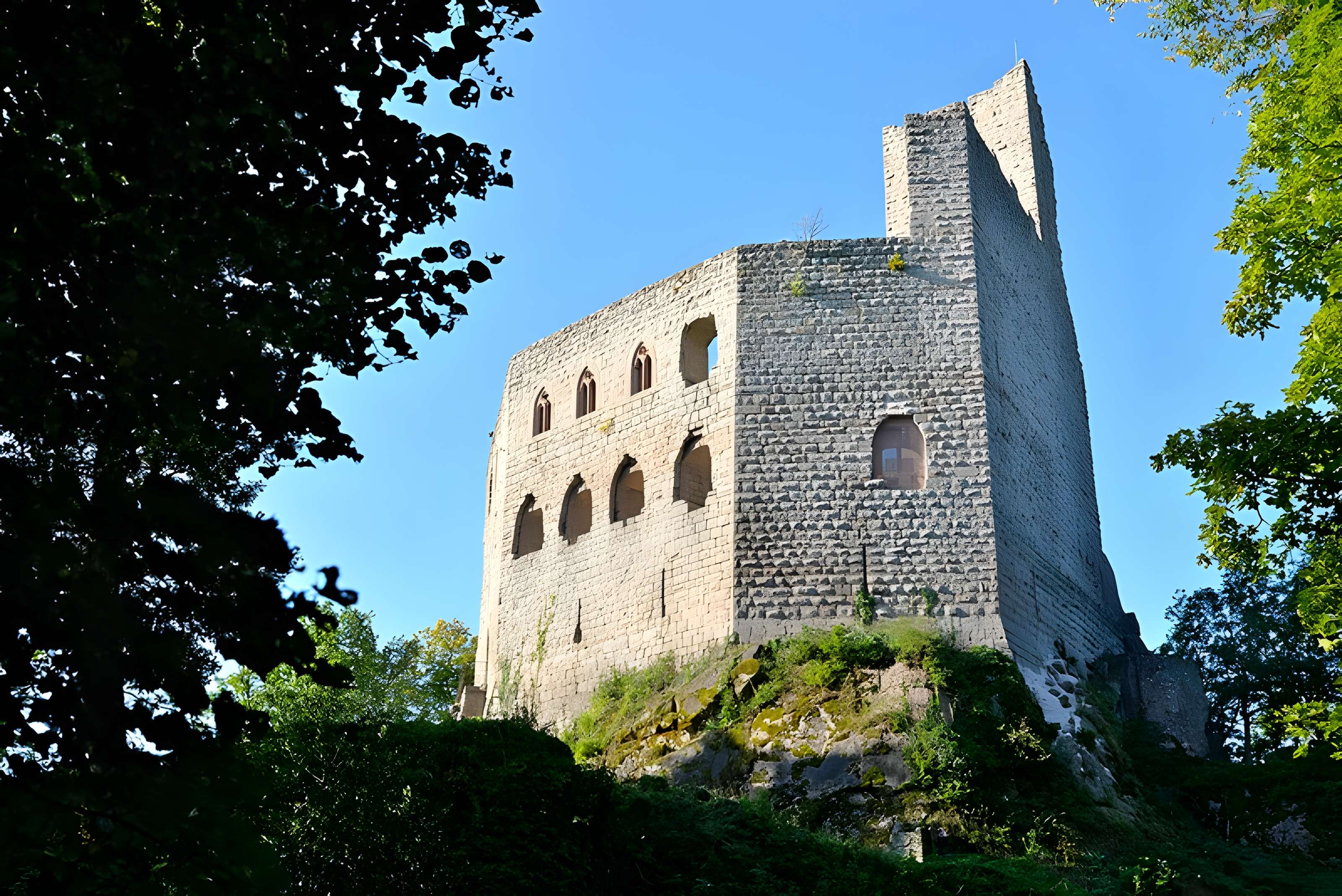 Ruines du château de Spesbourg