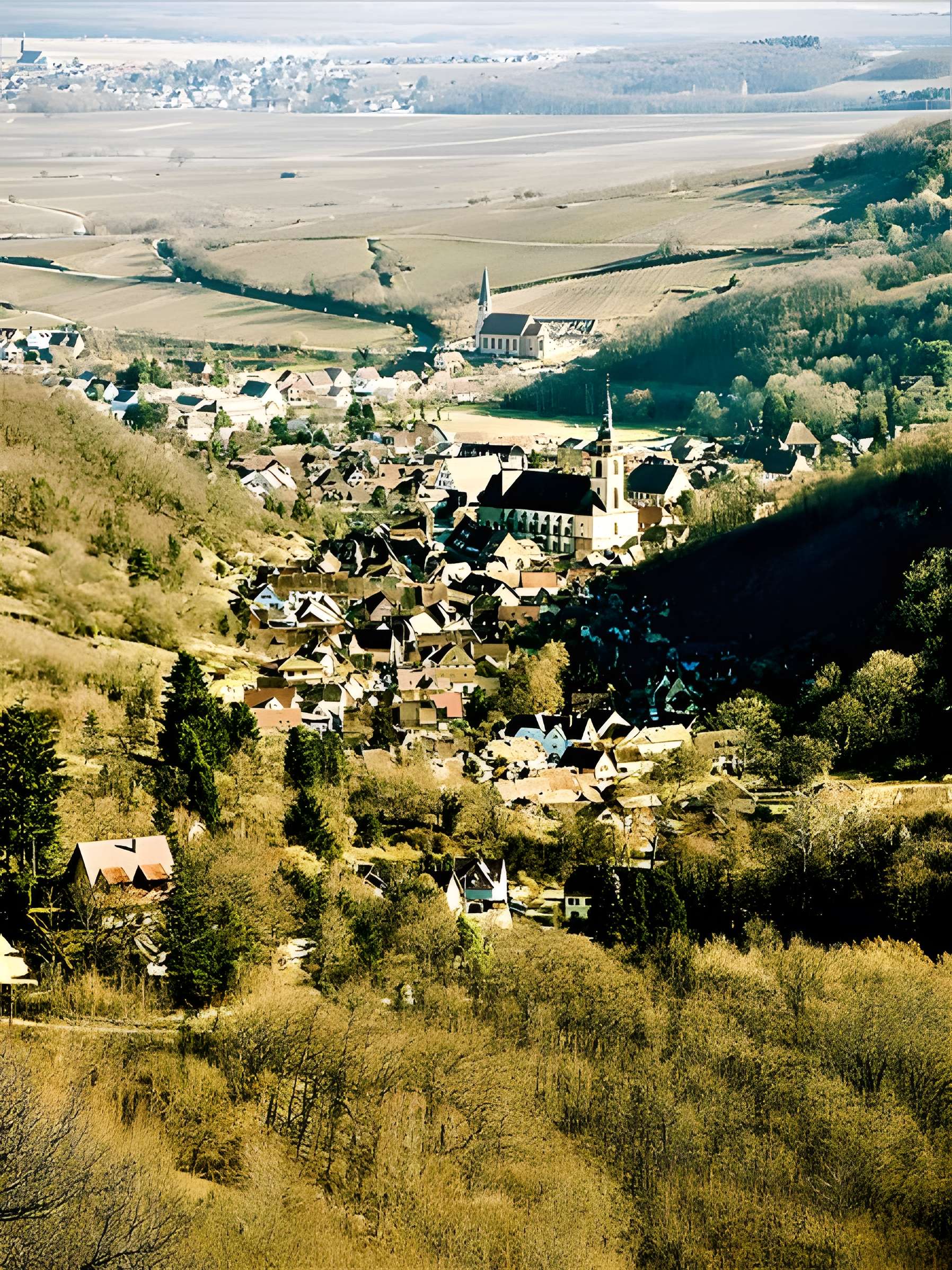 Ruines du château de Spesbourg