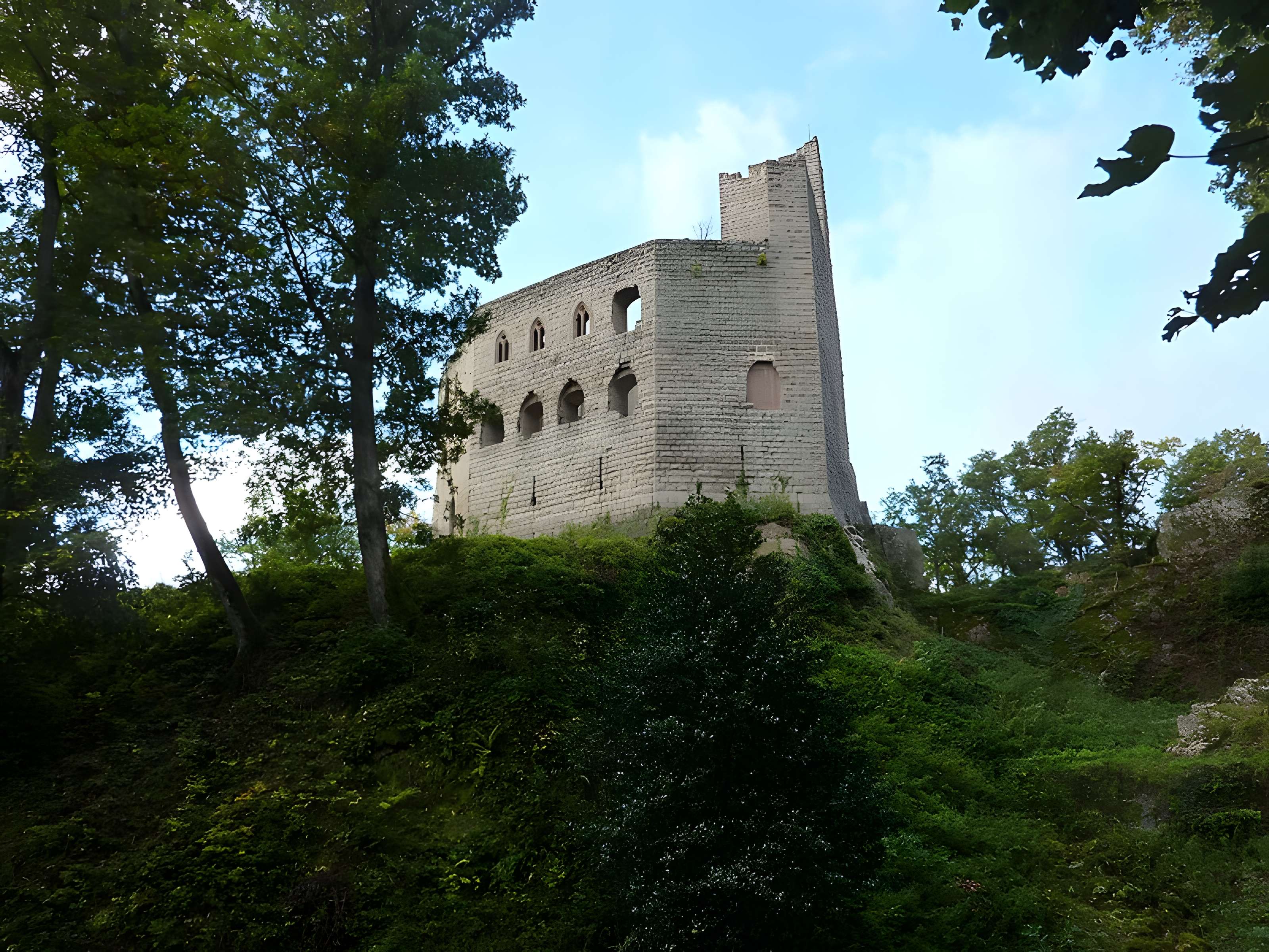 Ruines du château de Spesbourg