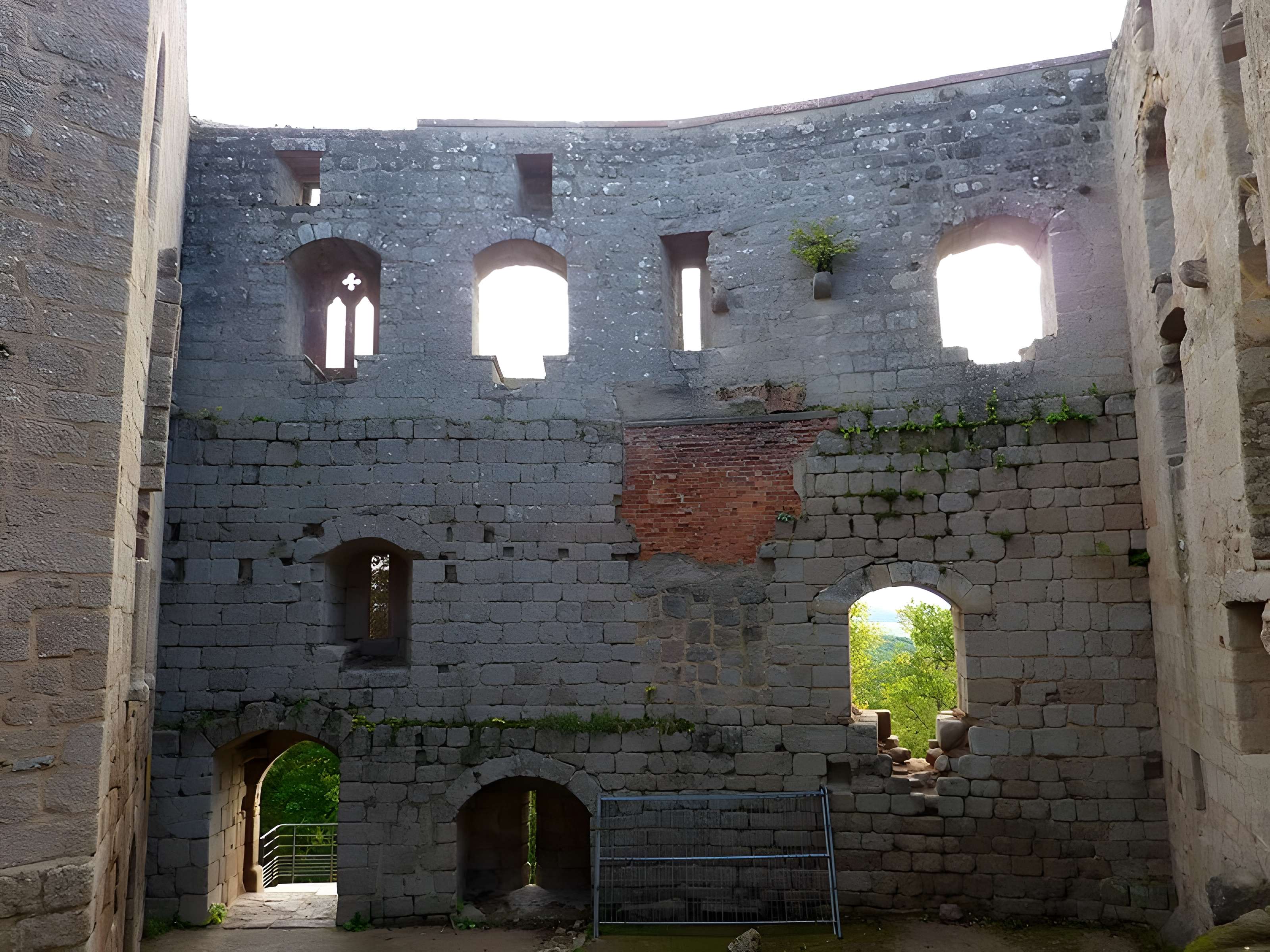 Ruines du château de Spesbourg