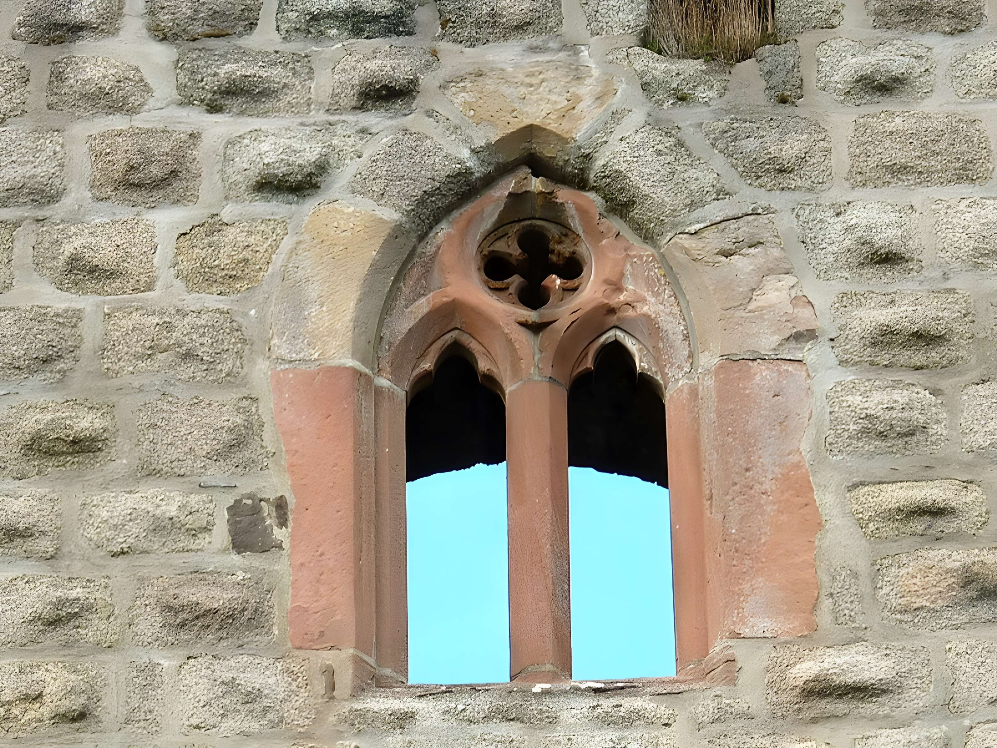 Ruines du château de Spesbourg