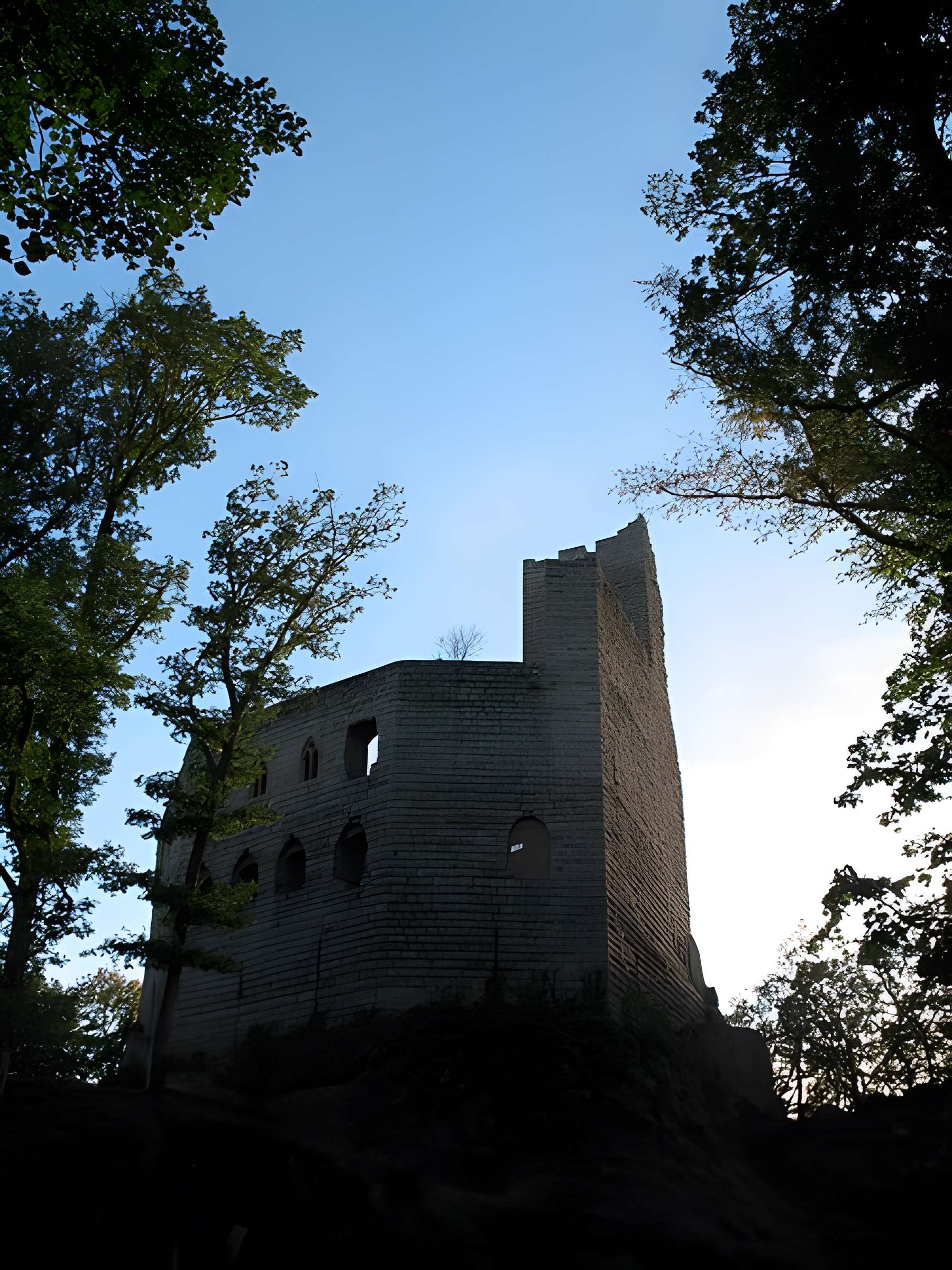 Ruines du château de Spesbourg