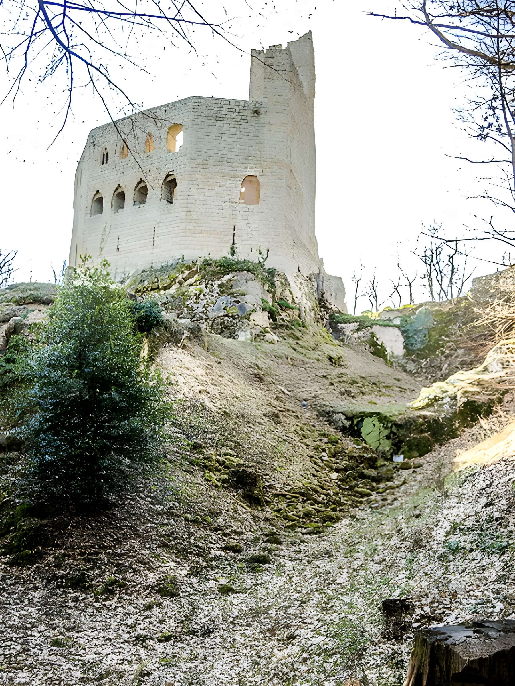 Ruines du château de Spesbourg