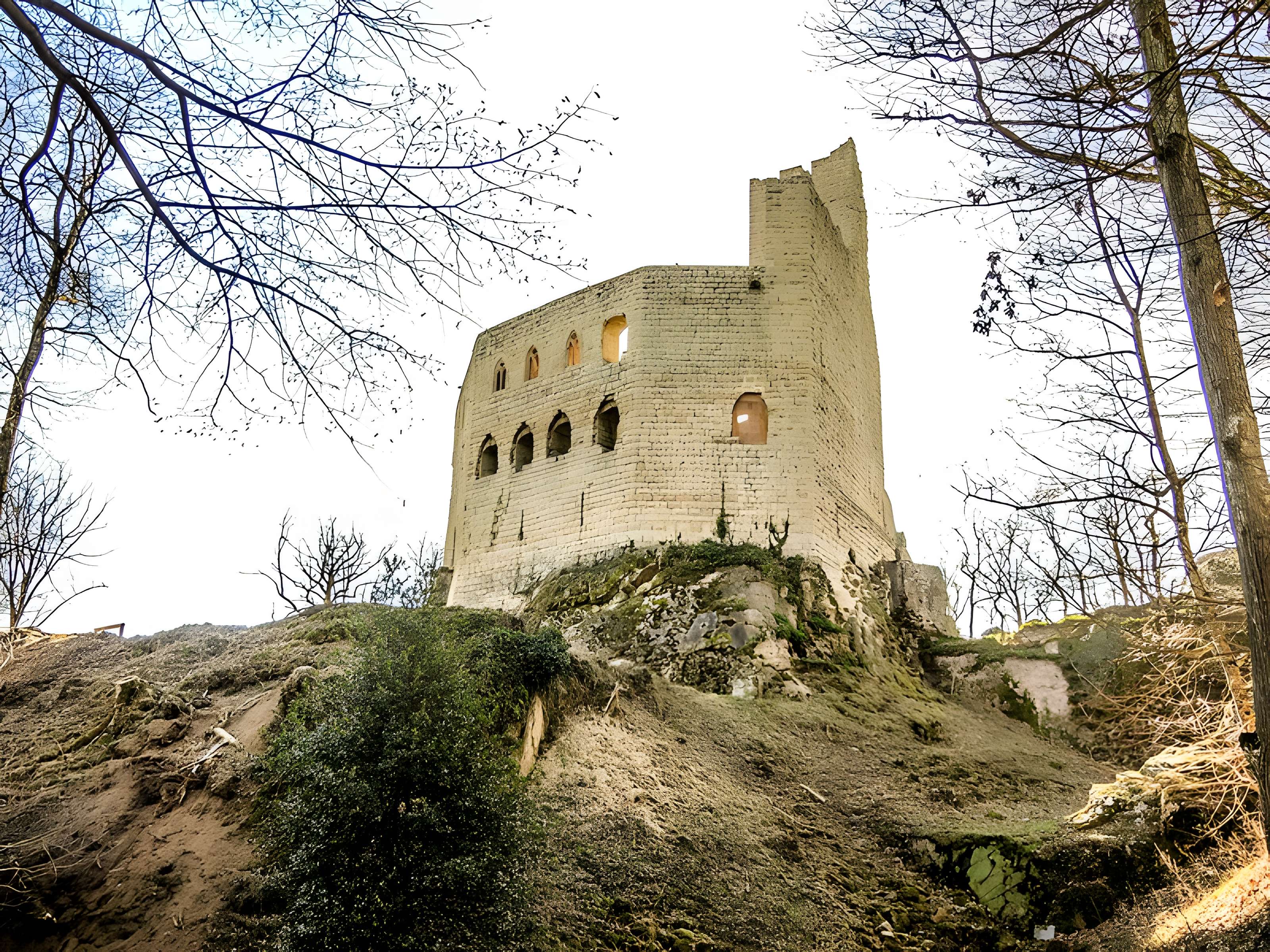 Ruines du château de Spesbourg