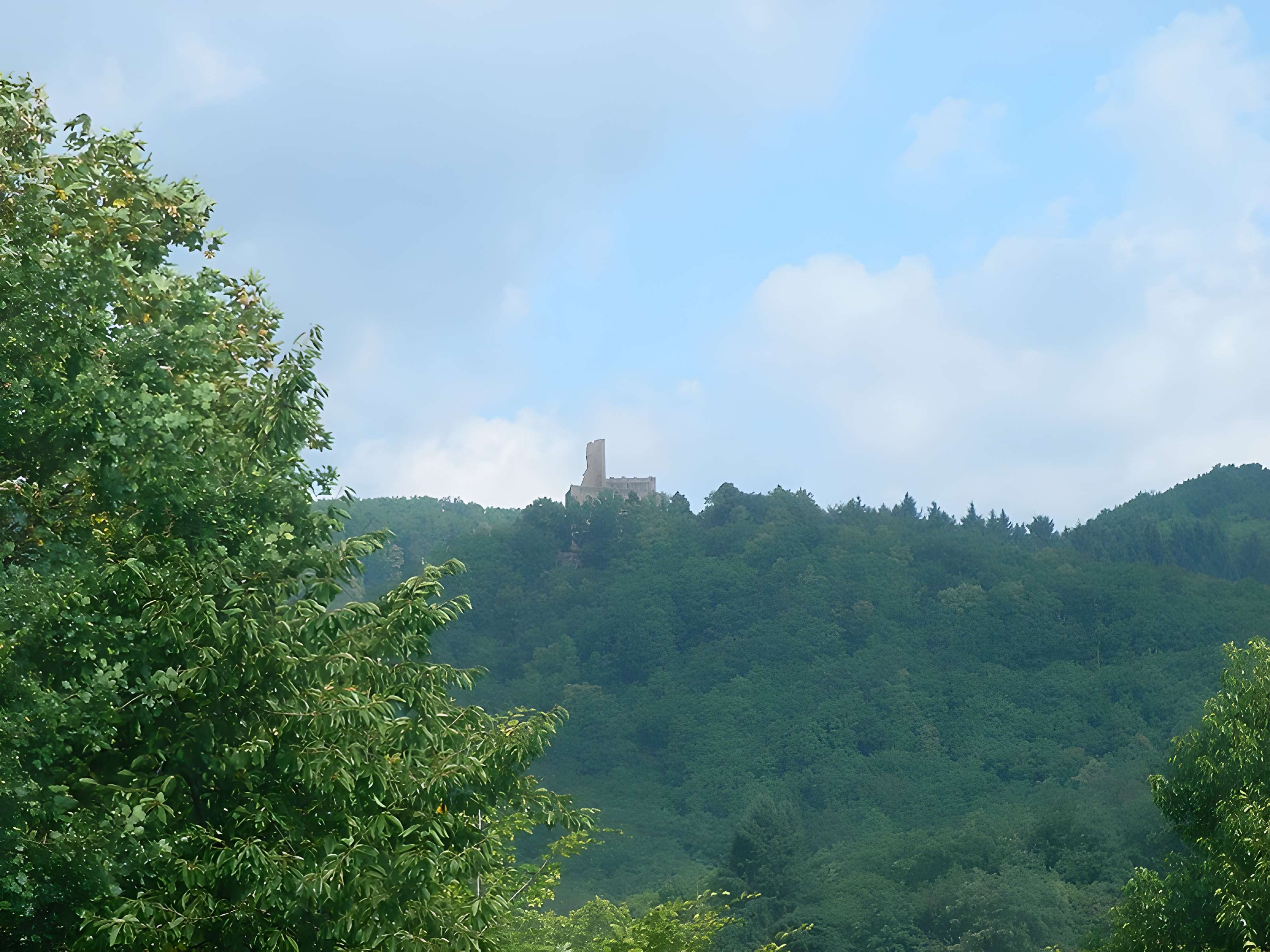 Ruines du château de Spesbourg