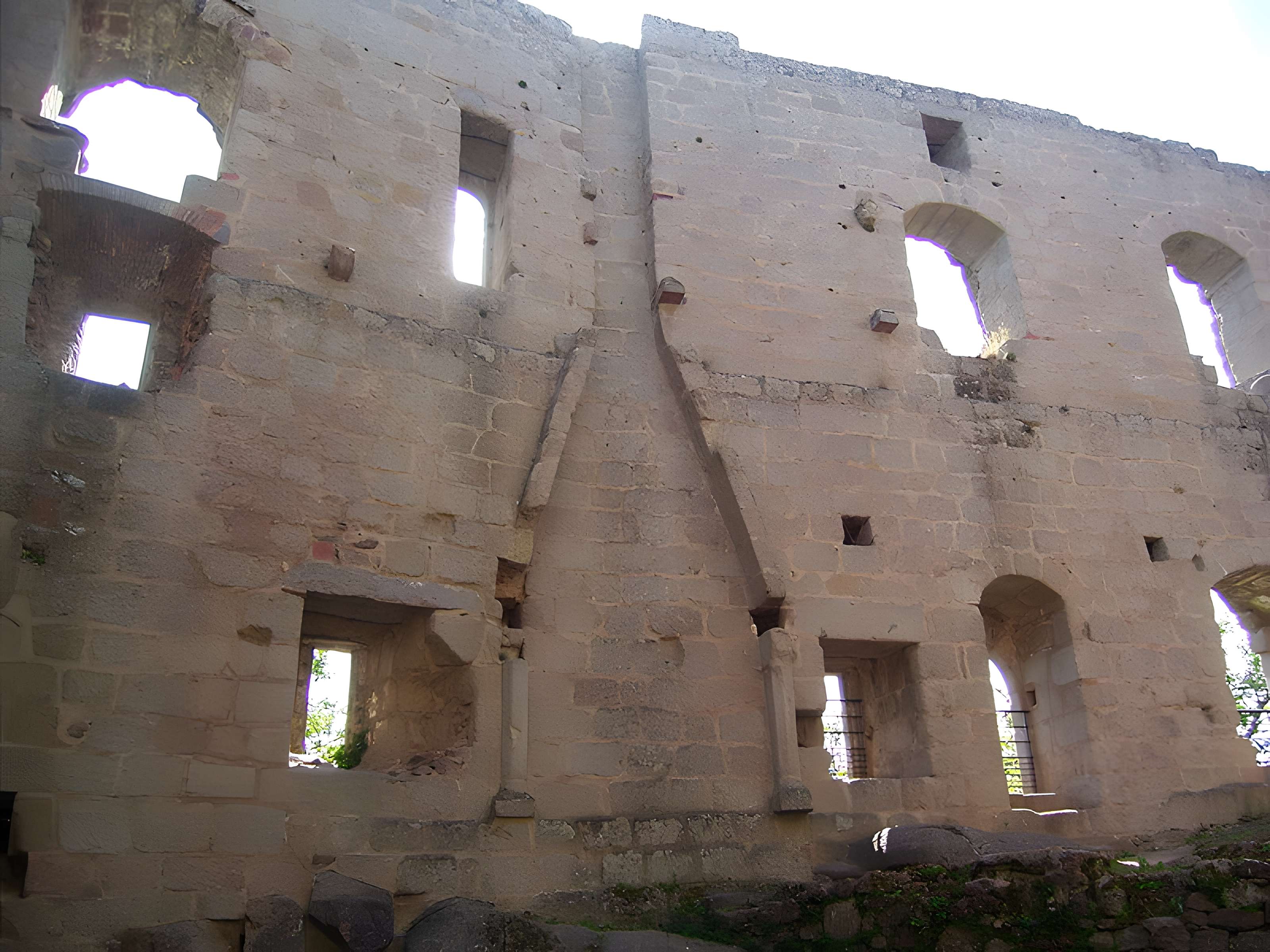 Ruines du château de Spesbourg