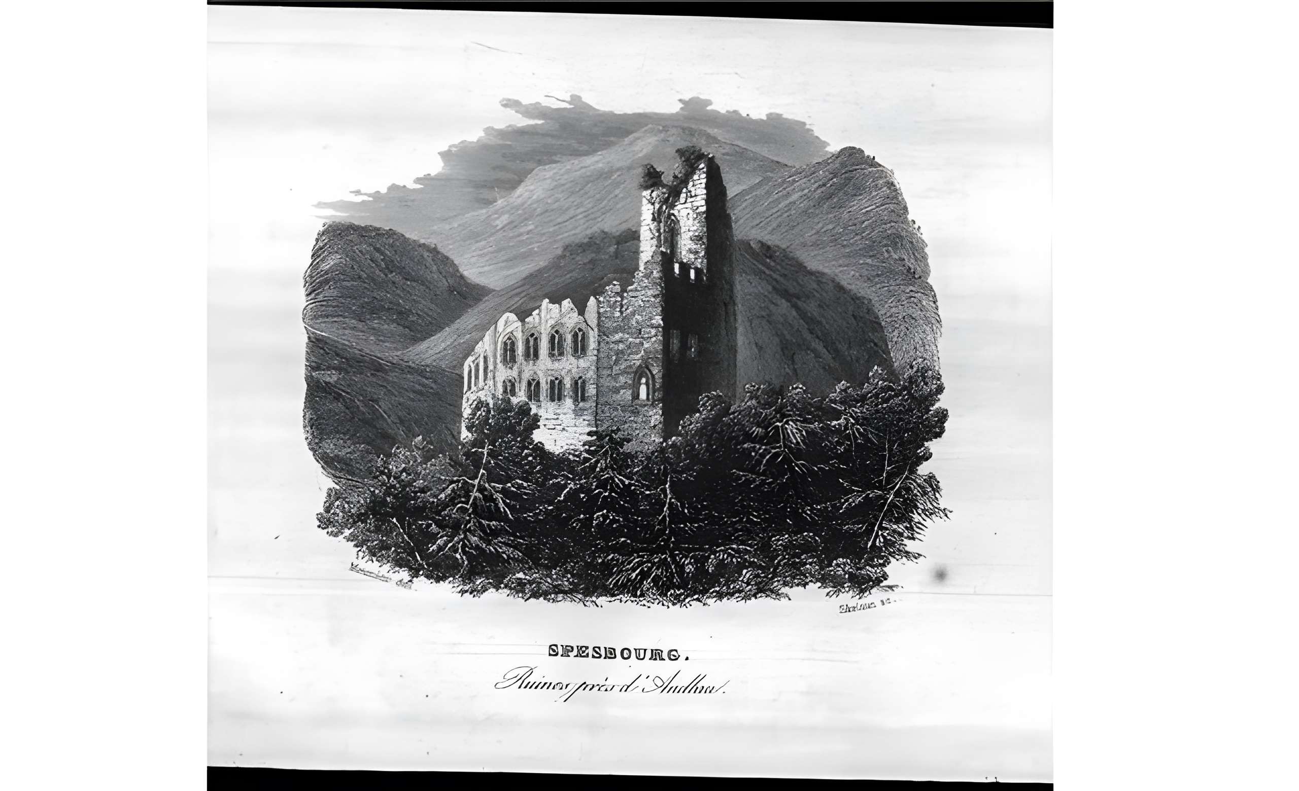 Ruines du château de Spesbourg