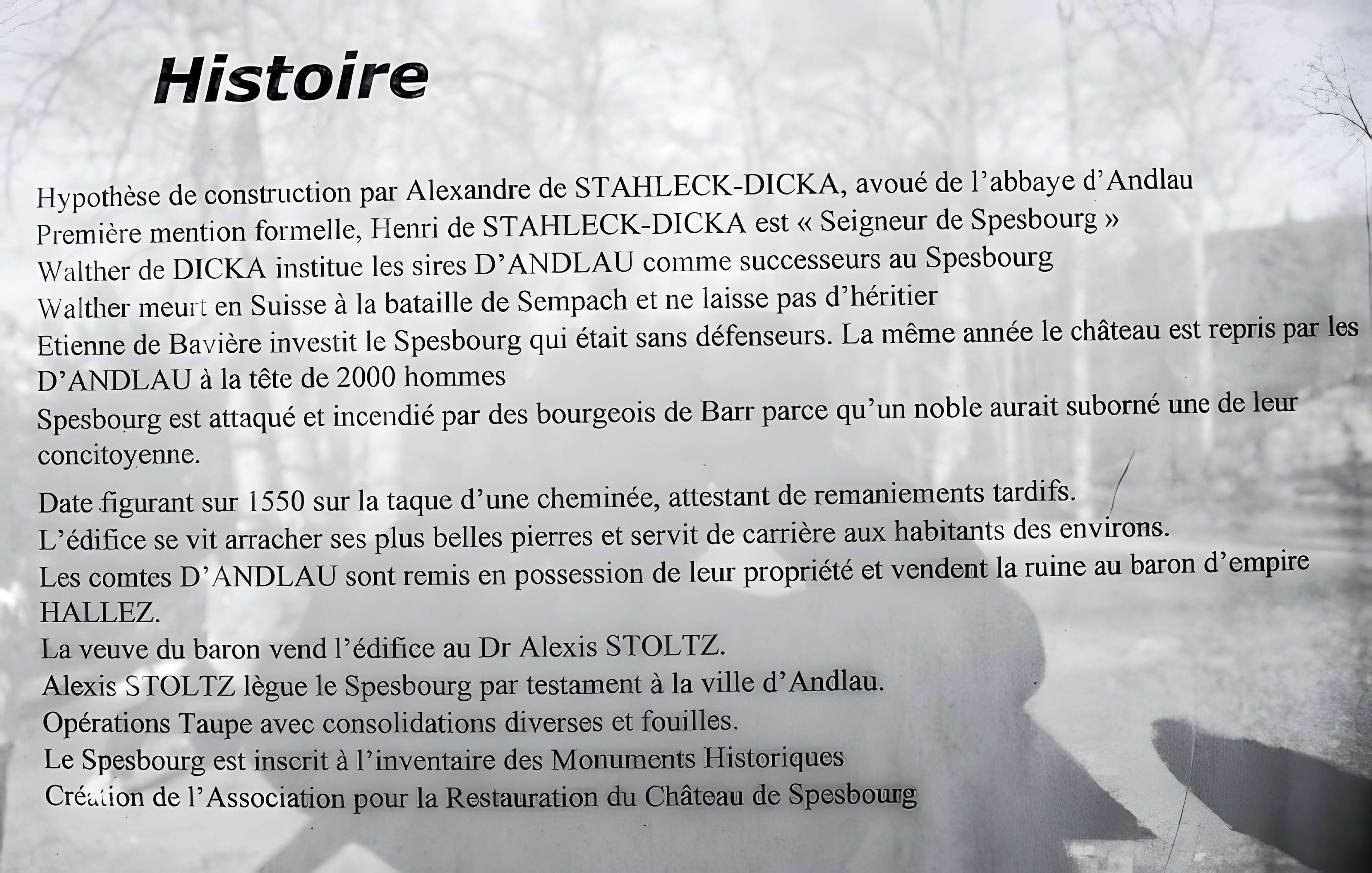 Ruines du château de Spesbourg