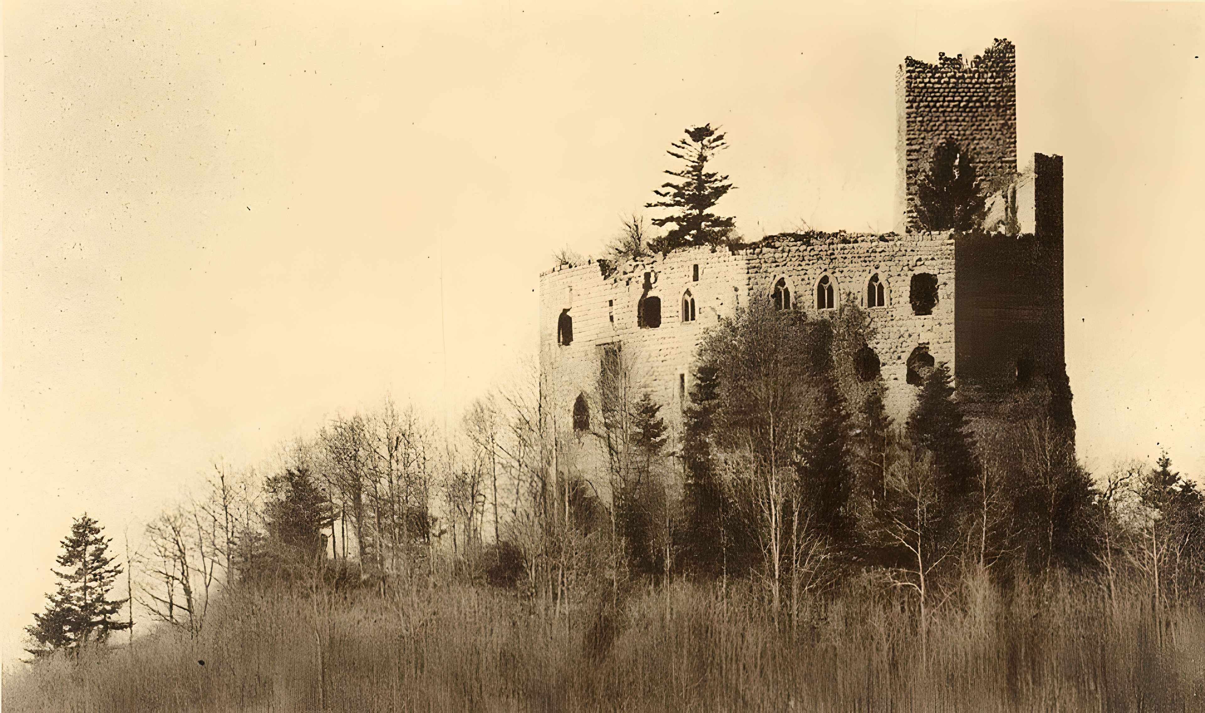 Ruines du château de Spesbourg