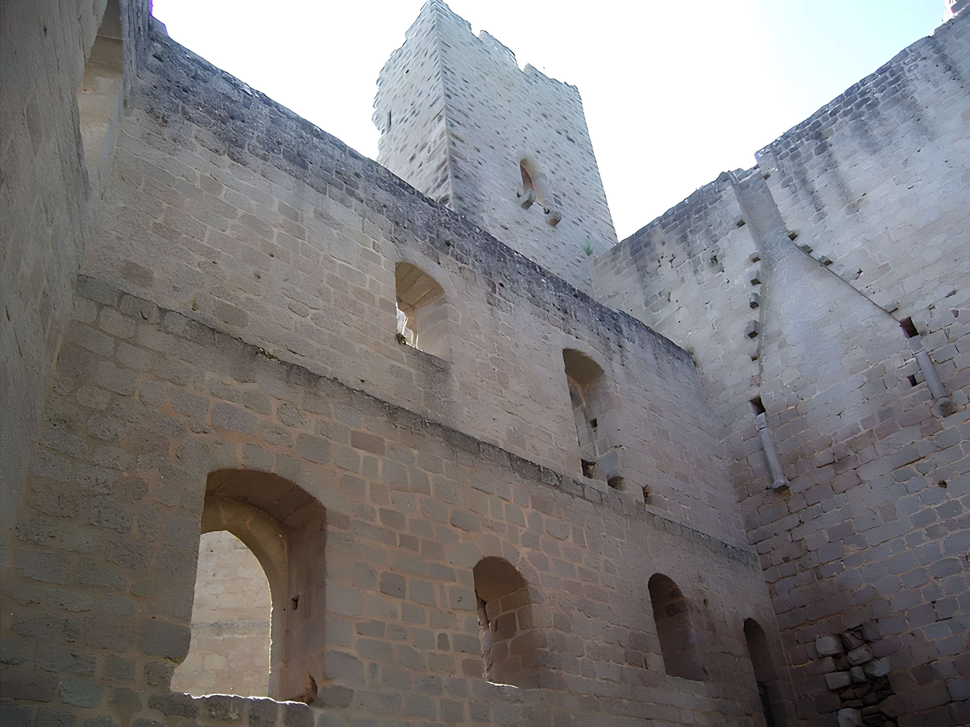 Ruines du château de Spesbourg