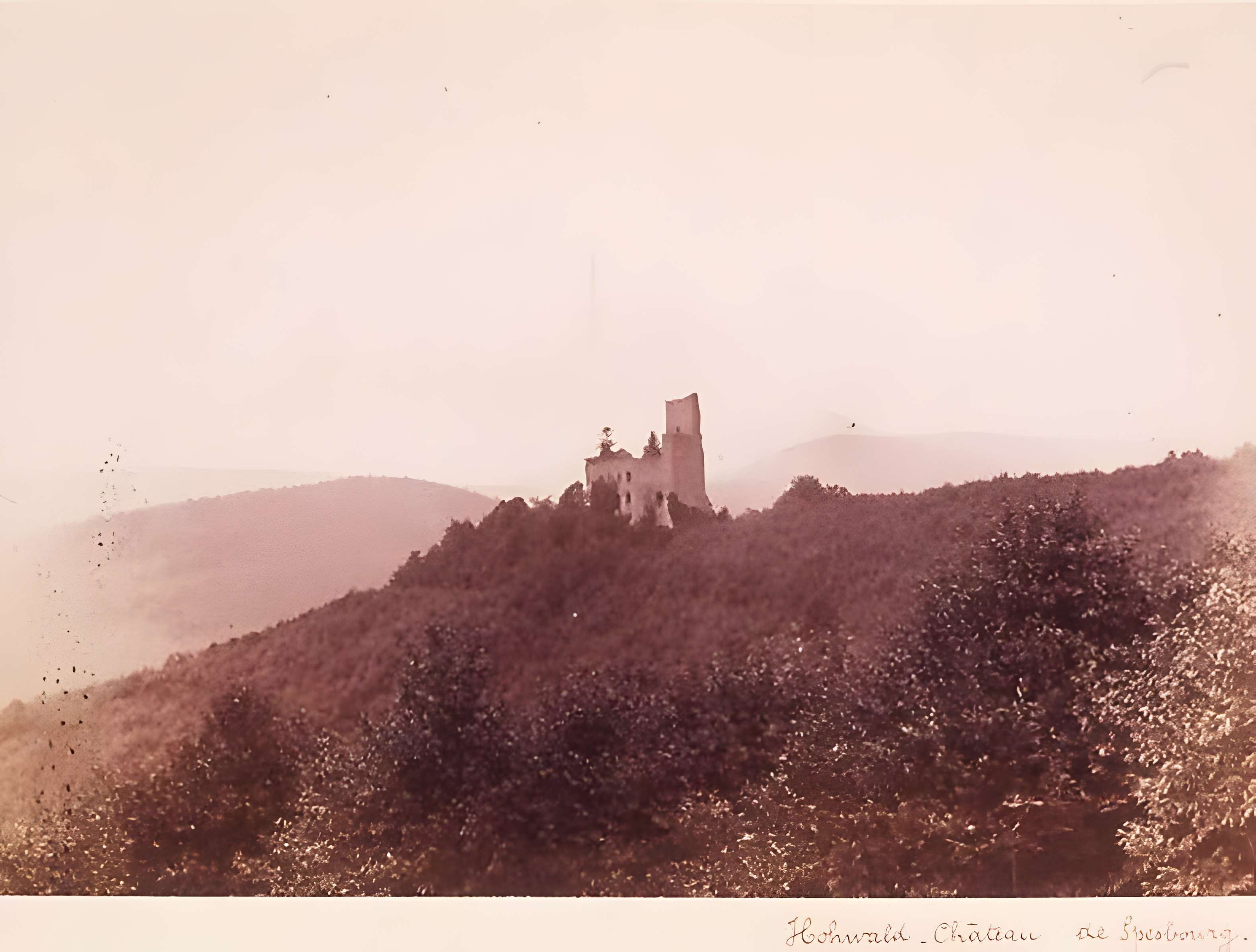 Ruines du château de Spesbourg