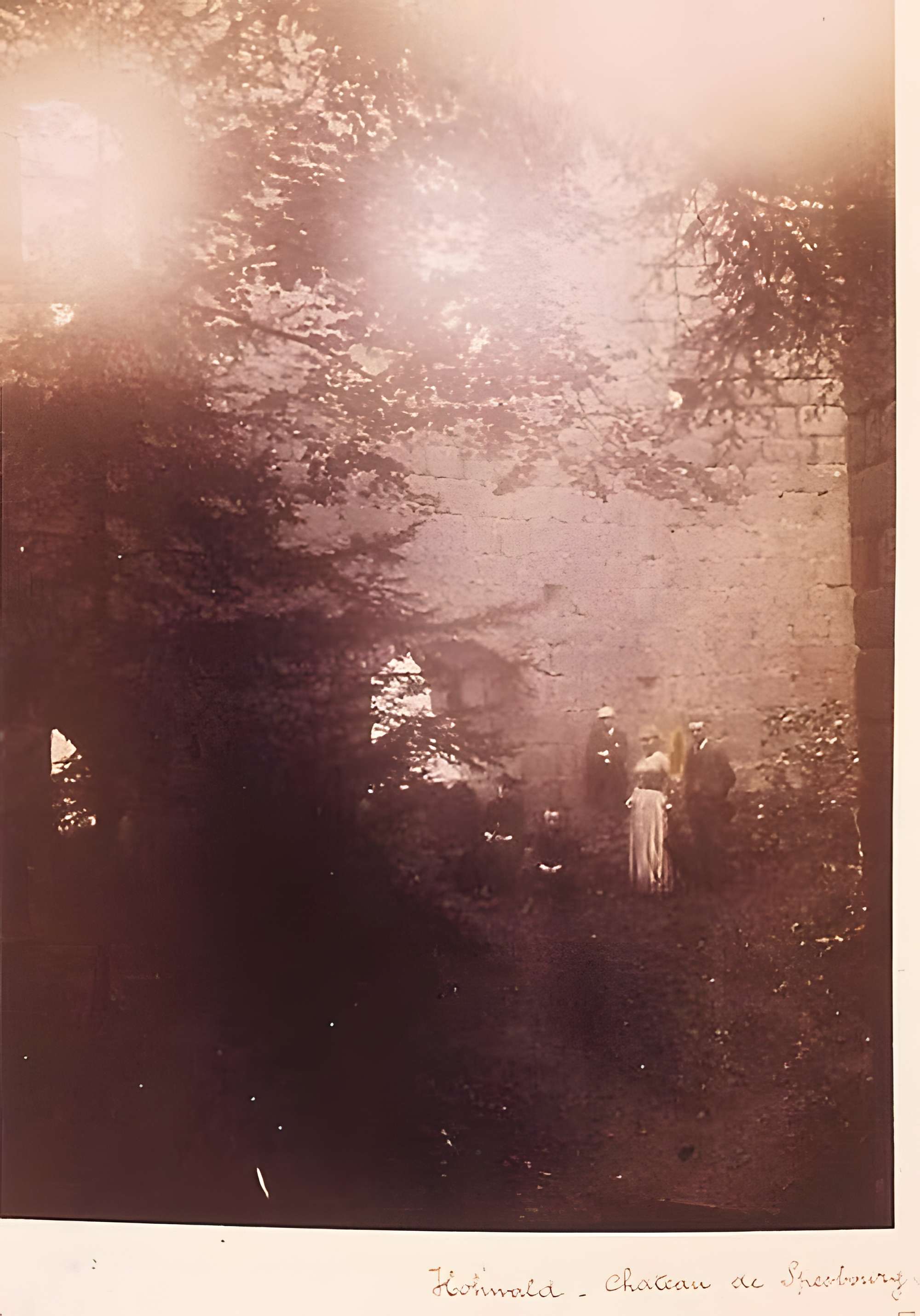 Ruines du château de Spesbourg