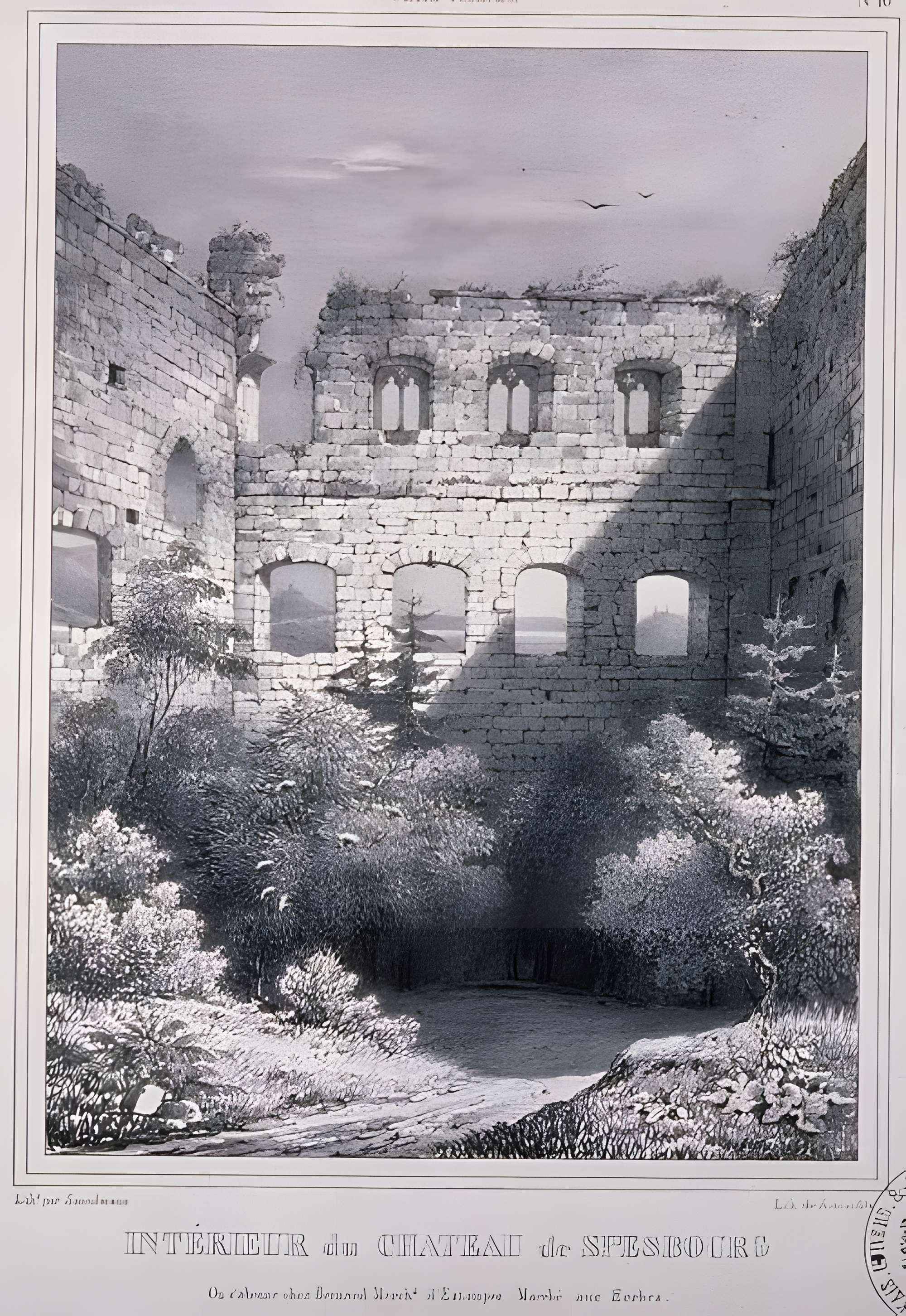 Ruines du château de Spesbourg