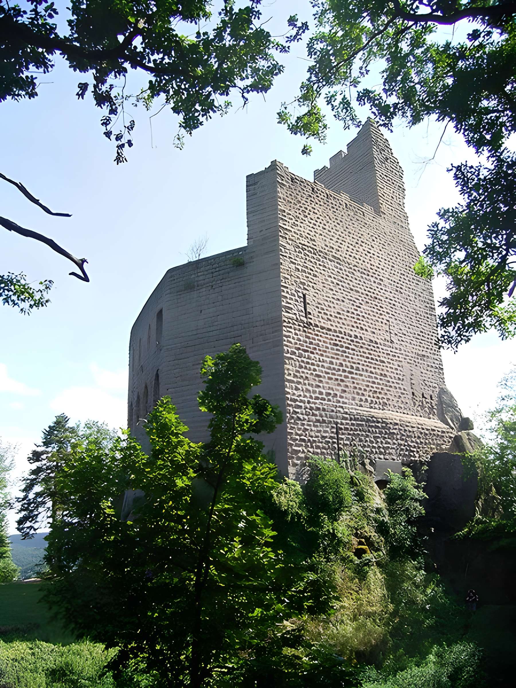 Ruines du château de Spesbourg
