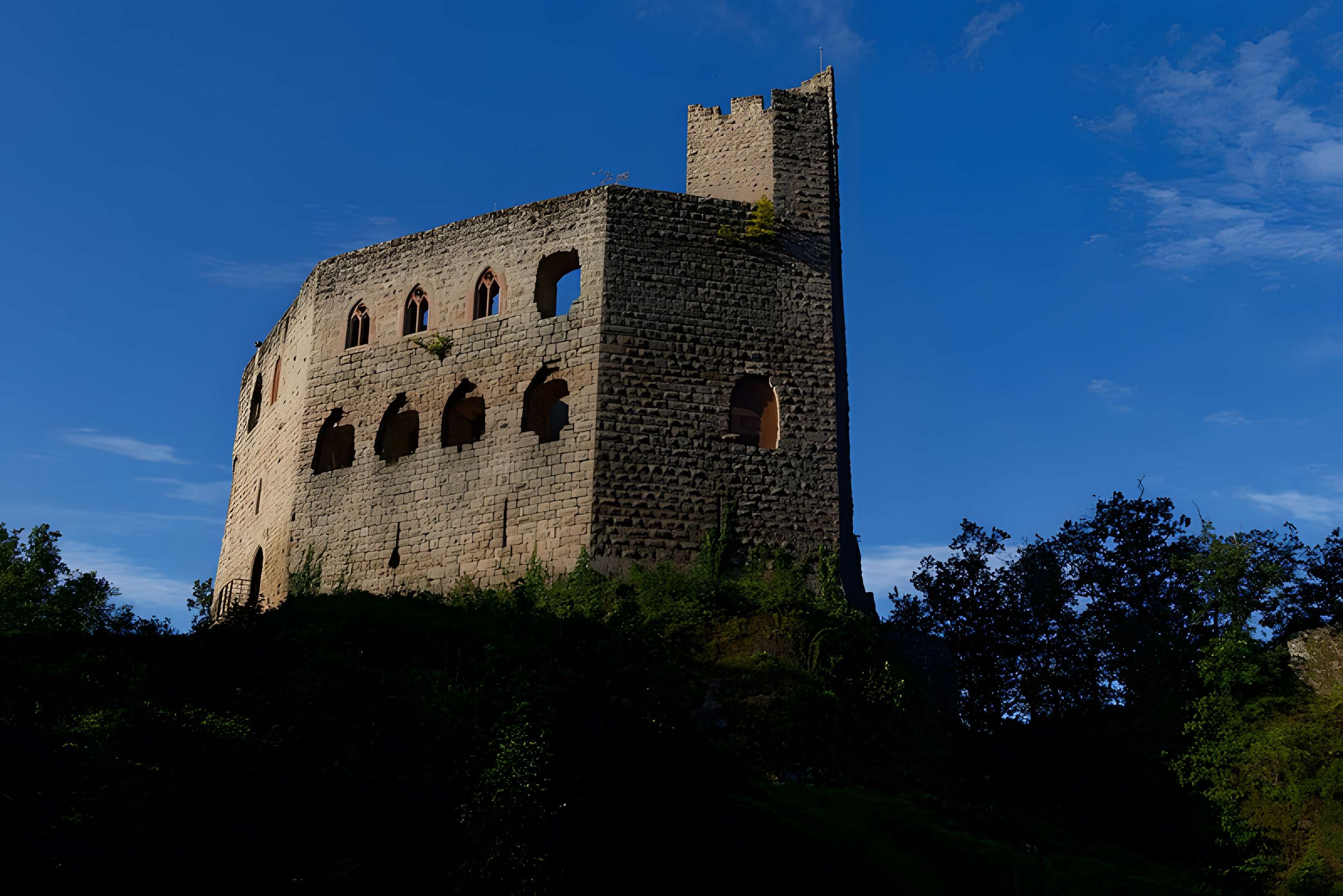 Ruines du château de Spesbourg