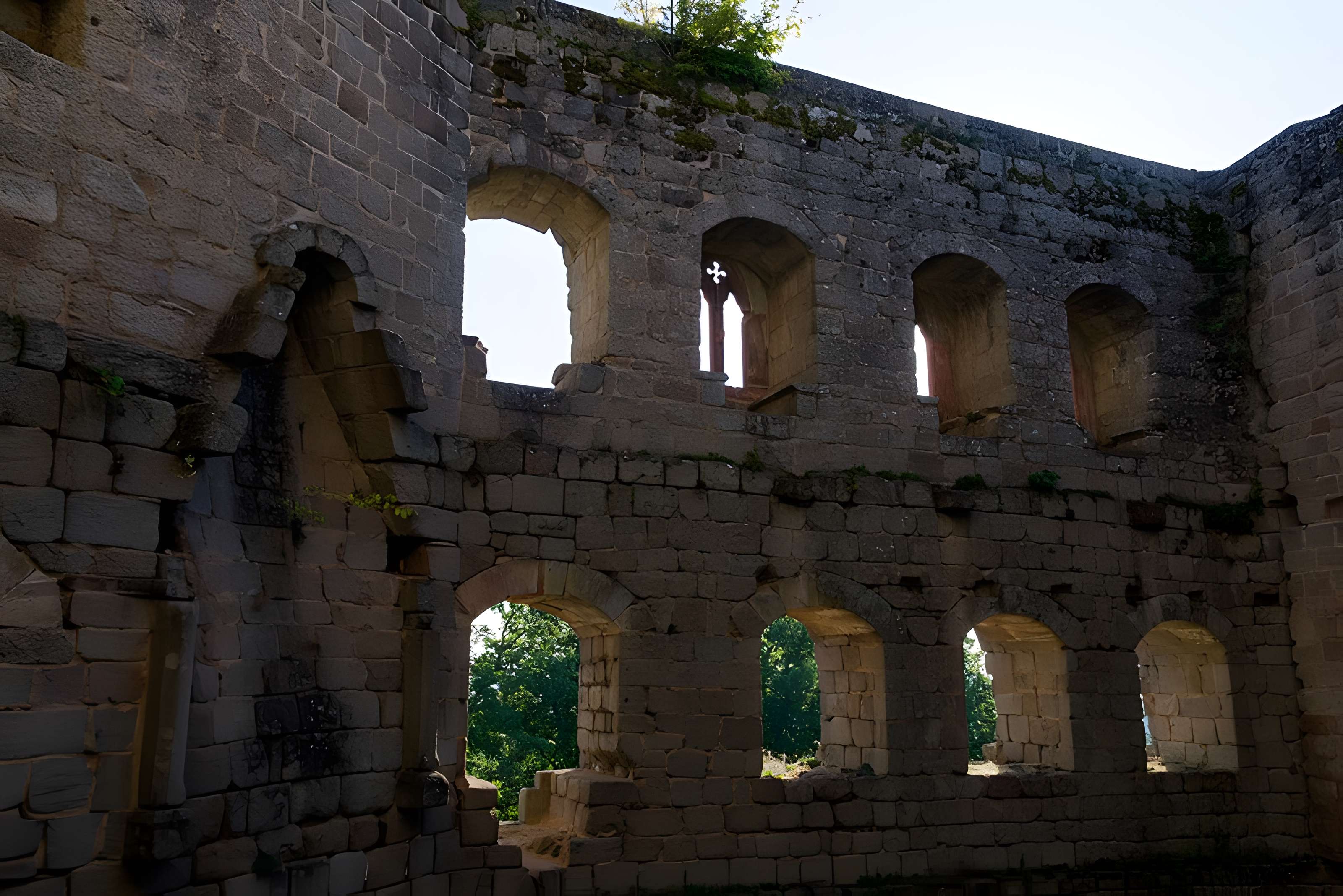 Ruines du château de Spesbourg