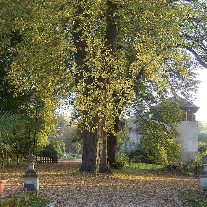 Photo de Château de Stors