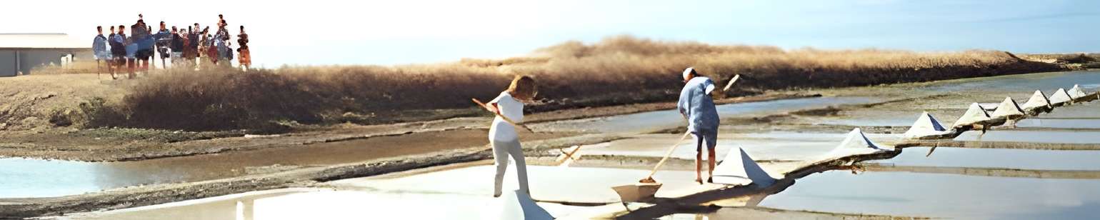 Ecomusée du Marais Salant à Loix en Ré 