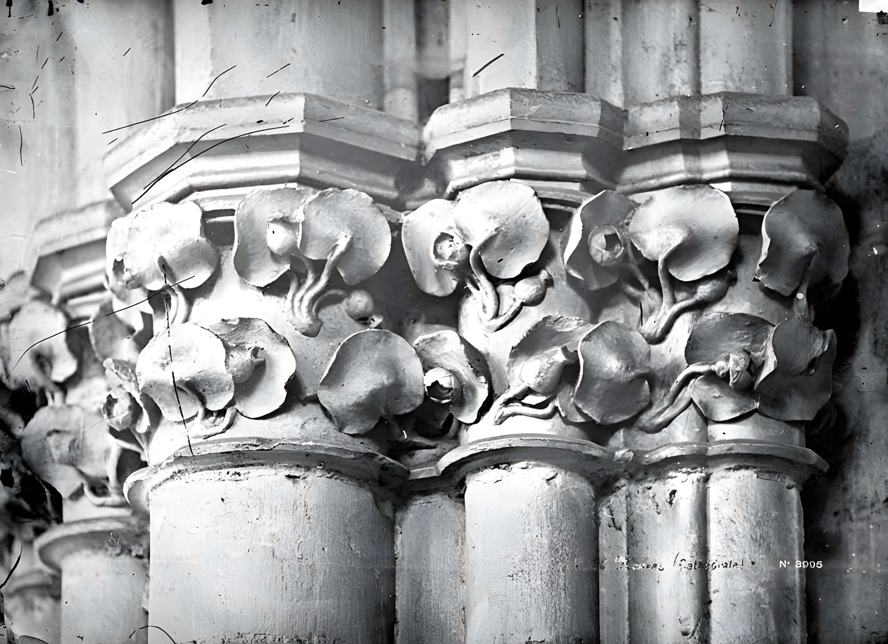 Cathédrale Saint-Cyr-et-Sainte-Julitte de Nevers