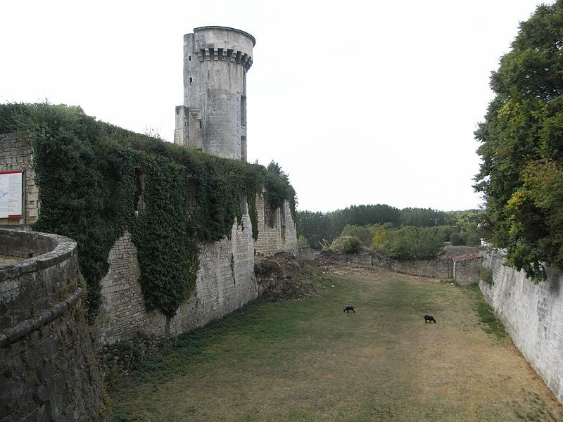 Photo de Château de Taillebourg