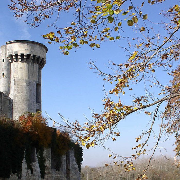 Photo de Château de Taillebourg