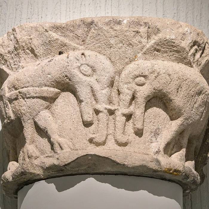 Photo de Musée Sainte-Croix à Poitiers