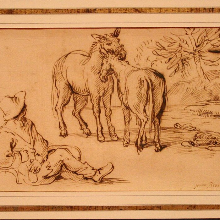 Photo de Musée Gassendi à Digne-les-Bains