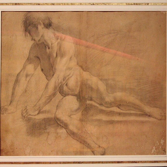 Photo de Musée Gassendi à Digne-les-Bains