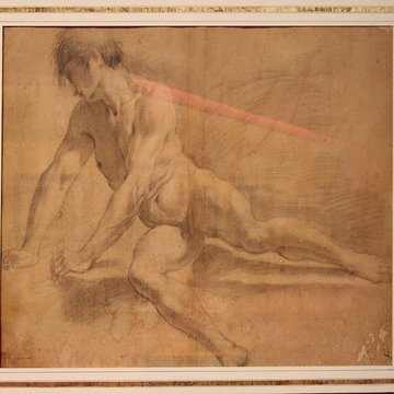 Musée Gassendi à Digne-les-Bains