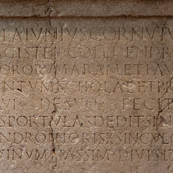 Photo de Musée archéologique de Nice-Cimiez