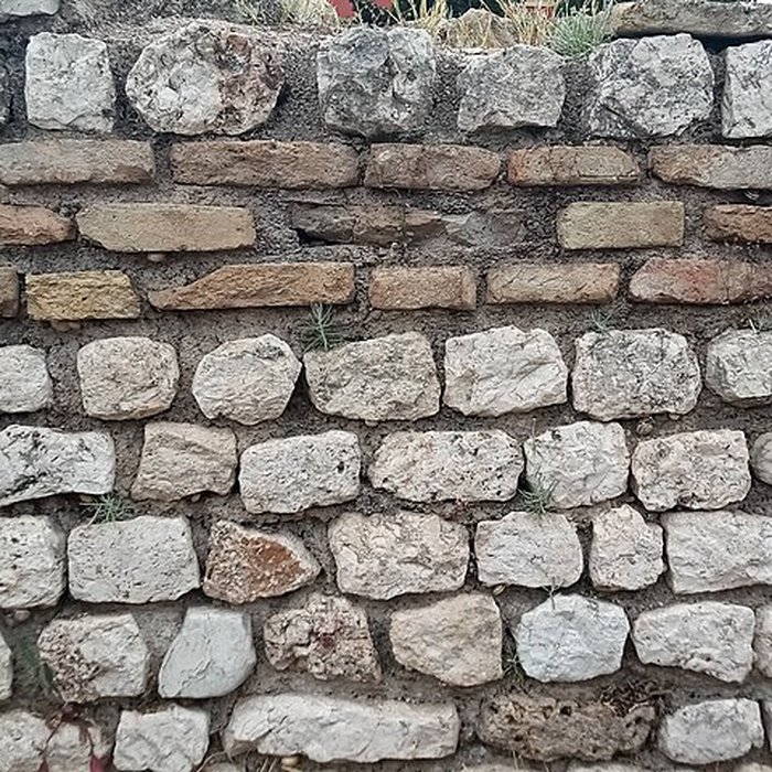 Photo de Musée archéologique de Nice-Cimiez