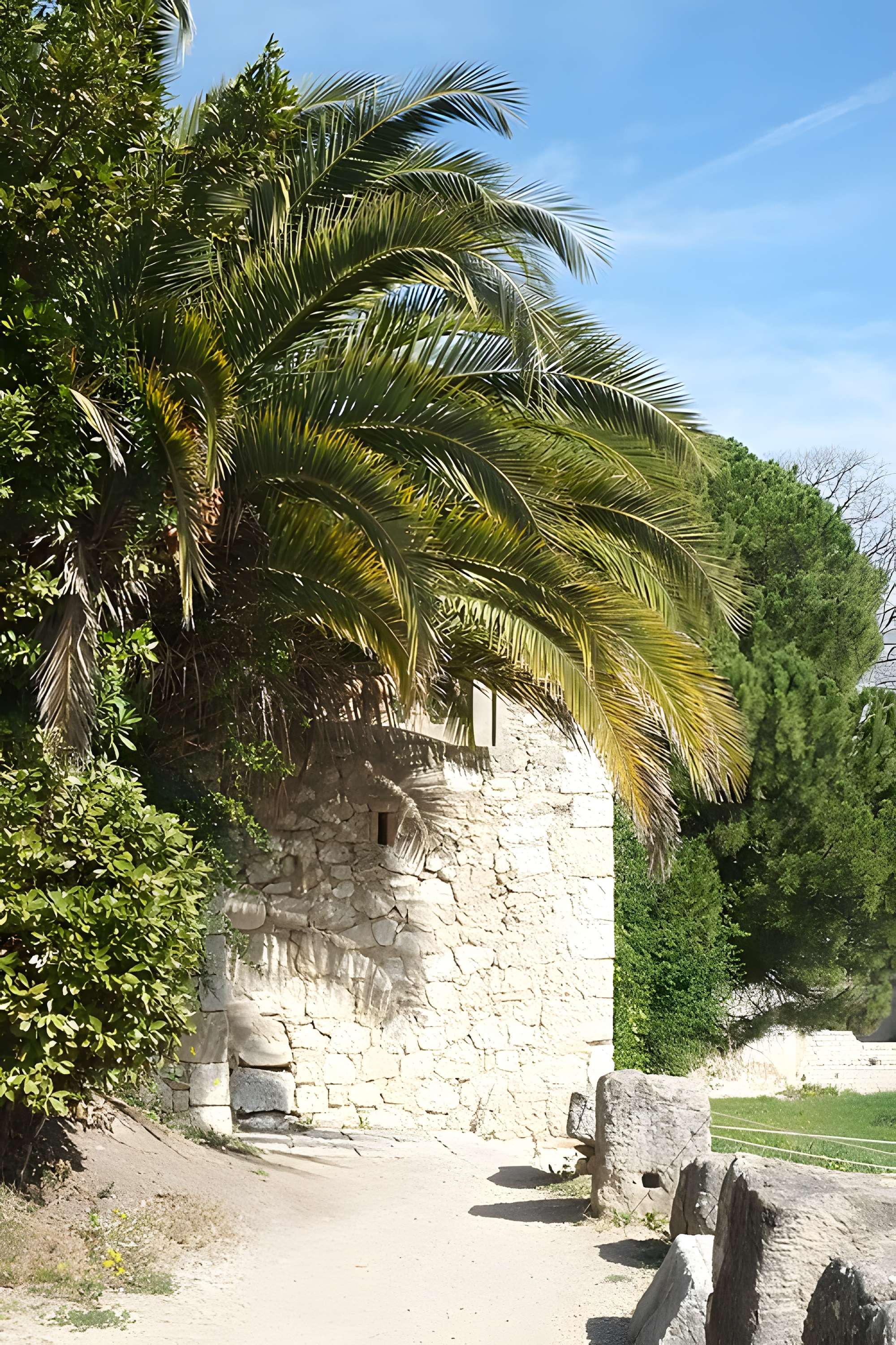 Musée archéologique de Nice-Cimiez