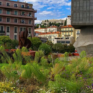 Musée dart moderne et dart contemporain de Nice