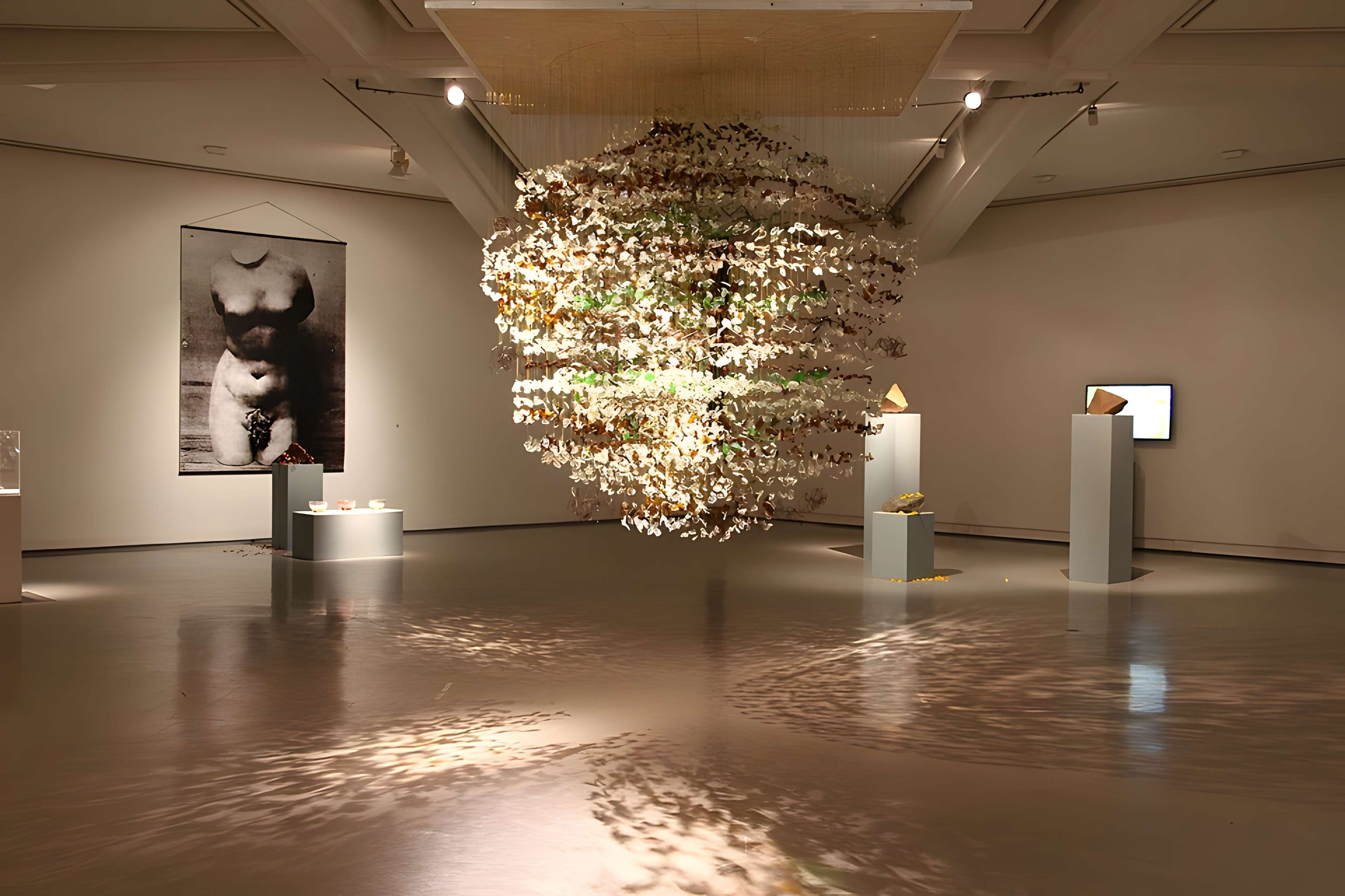 Musée d'art moderne et d'art contemporain de Nice