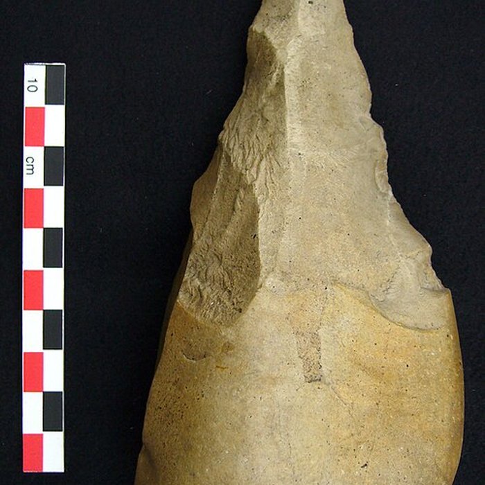 Photo de Musée de paléontologie humaine de Terra-Amata à Nice