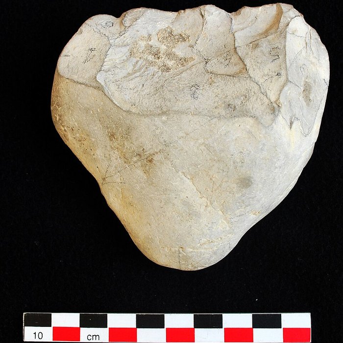 Photo de Musée de paléontologie humaine de Terra-Amata à Nice