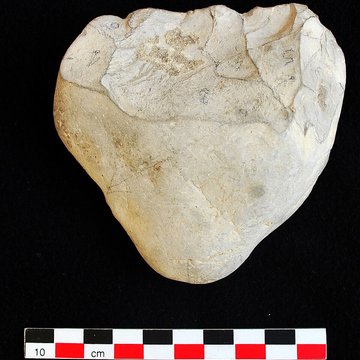 Musée de paléontologie humaine de Terra-Amata à Nice