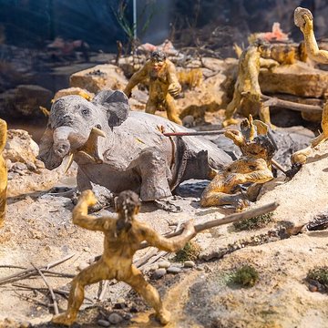 Musée de paléontologie humaine de Terra-Amata à Nice