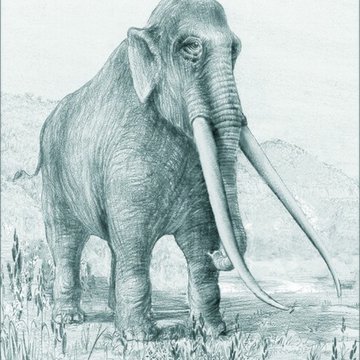 Musée de paléontologie humaine de Terra-Amata à Nice