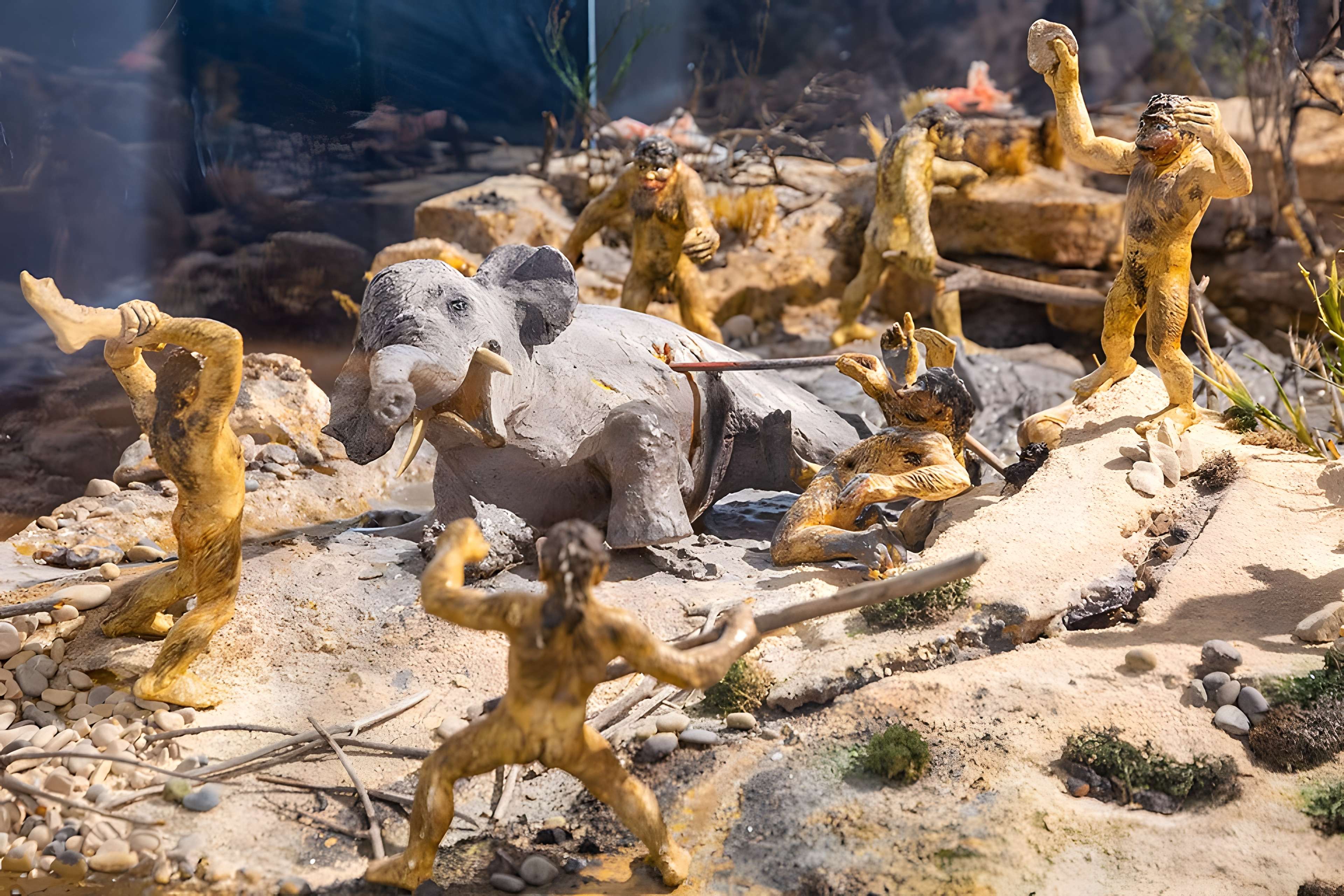 Musée de paléontologie humaine de Terra-Amata à Nice