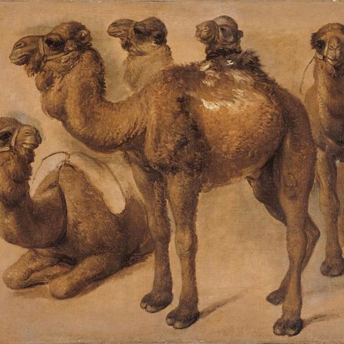 Photo de Musée des beaux-arts de Nice