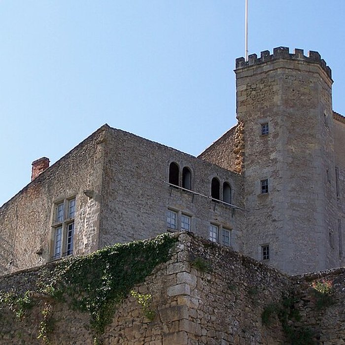 Photo de Château de Tardes