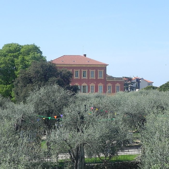 Photo de Musée Matisse de Nice