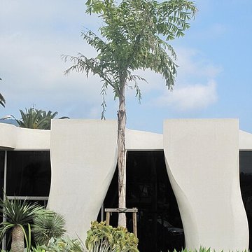 Musée Jean Cocteau : Collection Séverin Wunderman à Menton