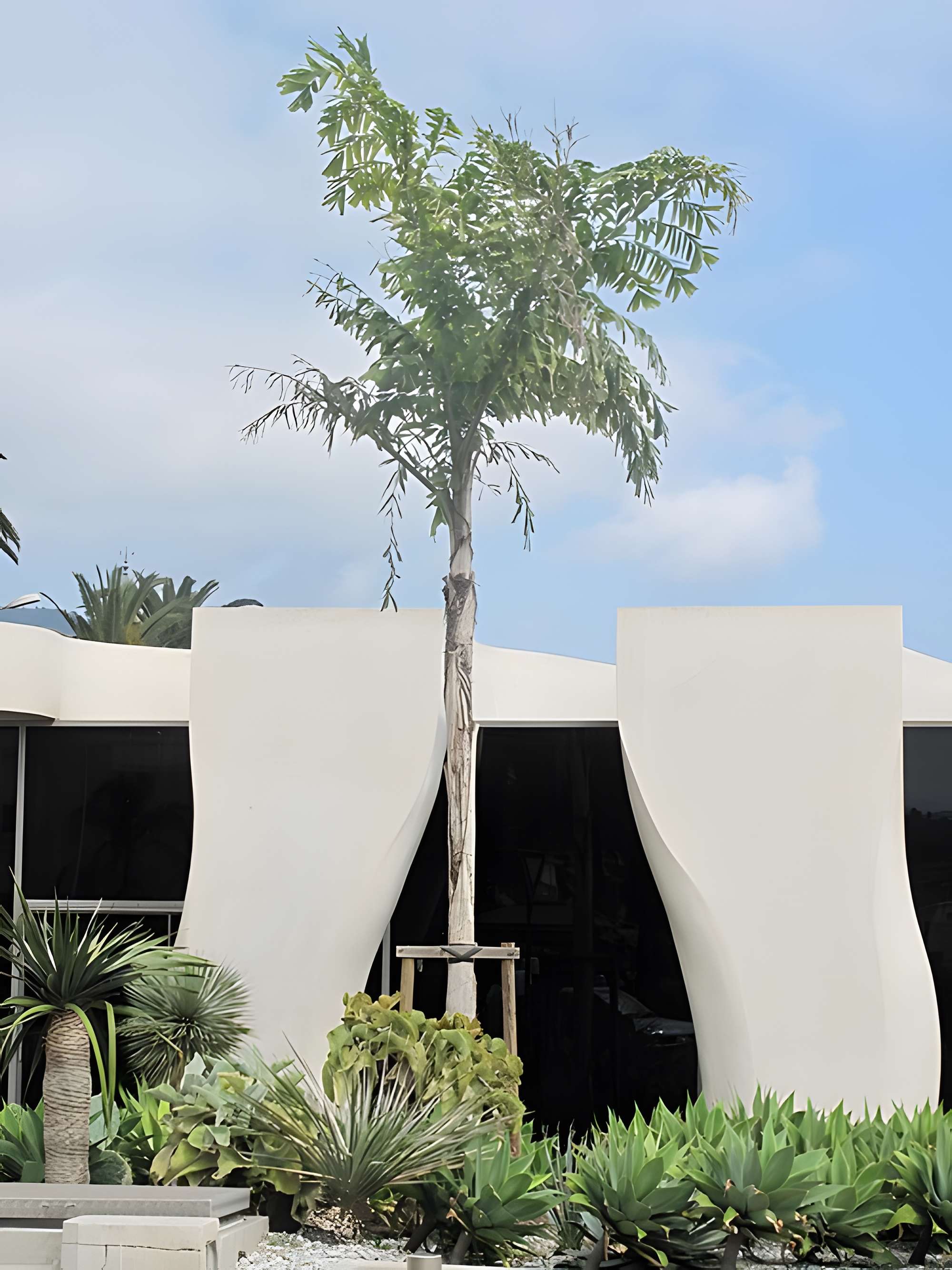 Musée Jean Cocteau : Collection Séverin Wunderman à Menton