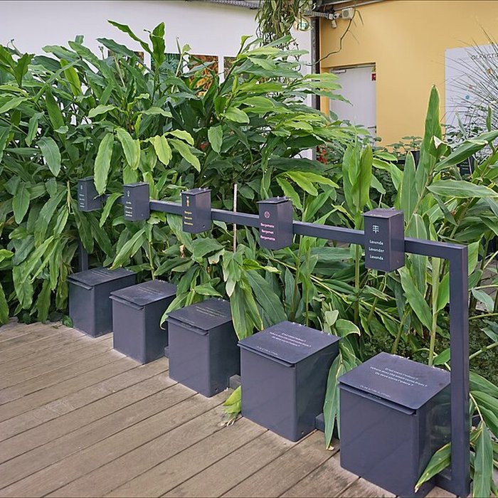 Photo de Musée International de la Parfumerie de Grasse