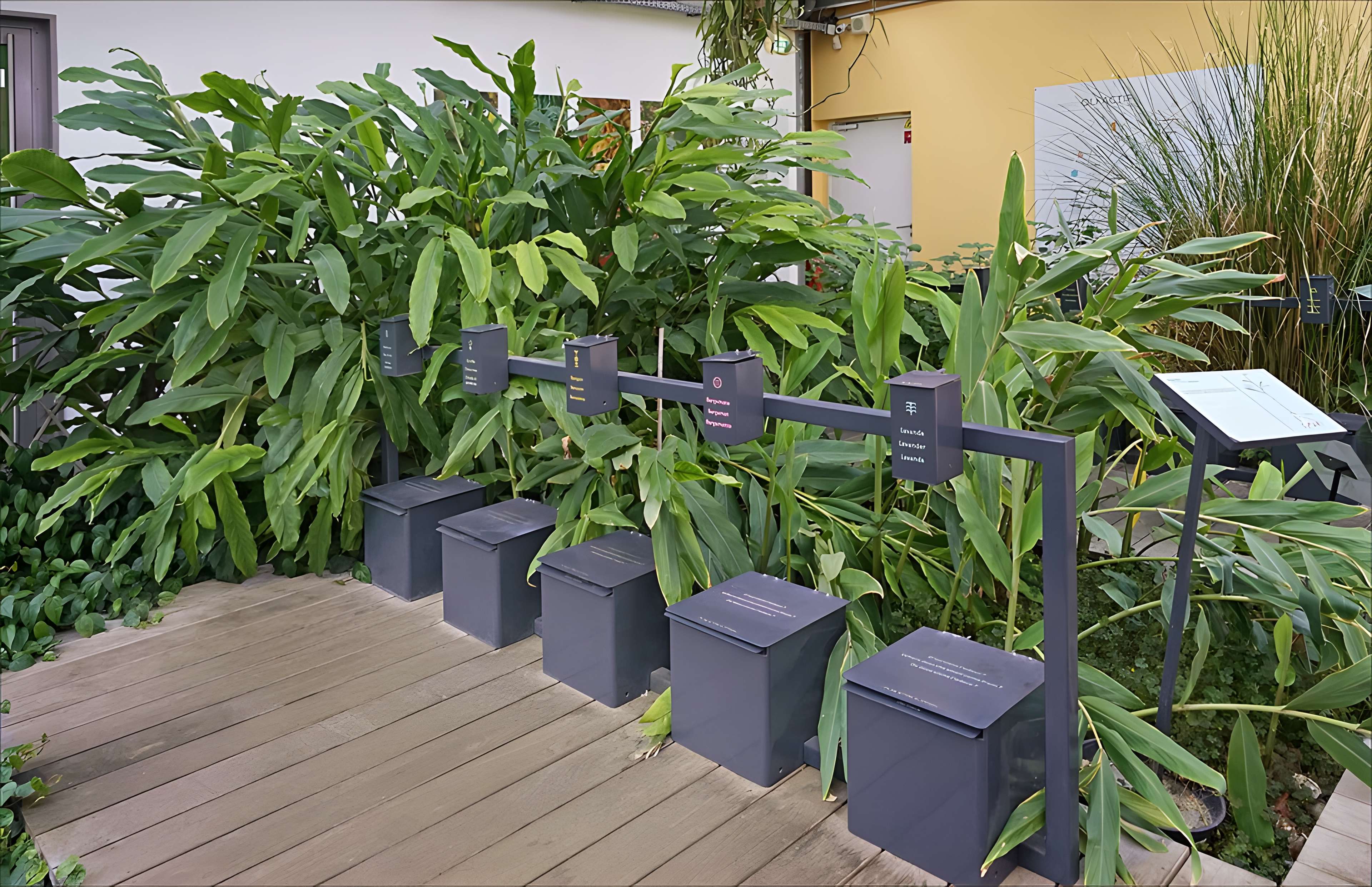 Musée International de la Parfumerie de Grasse