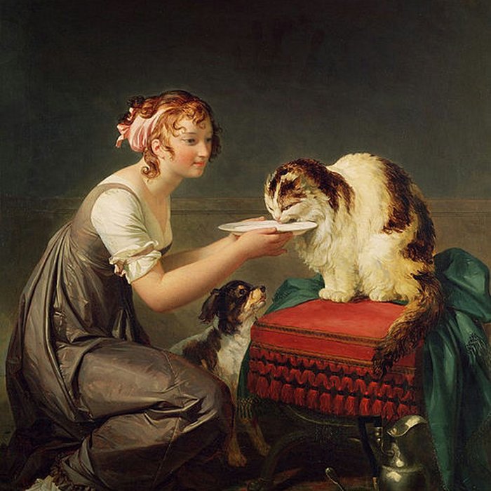 Photo de Villa Musée Jean-Honoré Fragonard de Grasse